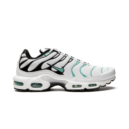Nike Air Max Plus Atmos