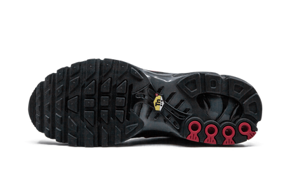 Nike Air Max Plus Blue and Red