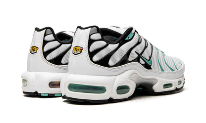 Nike Air Max Plus Atmos