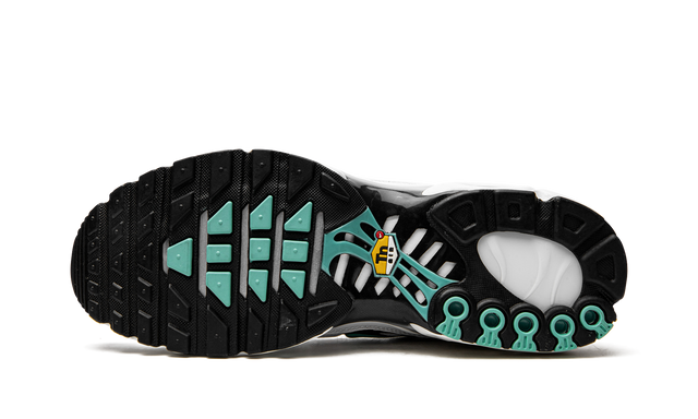 Nike Air Max Plus Atmos