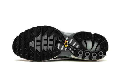 Nike Air Max Plus Waterway