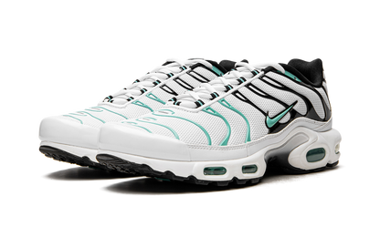 Nike Air Max Plus Atmos