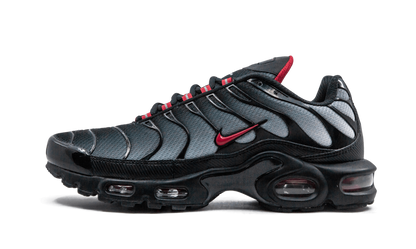 Nike Air Max Plus Blue and Red