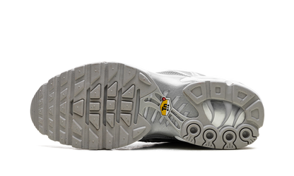 Nike Air Max Plus Metallic Silver